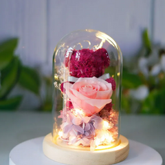 Eternal Rose Teddy Gift NeoShopUSA