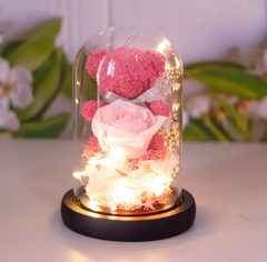 Eternal Rose Teddy Gift NeoShopUSA