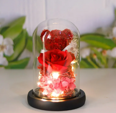 Eternal Rose Teddy Gift NeoShopUSA