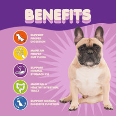 Probiotics for Dogs and Puppies