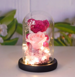 Eternal Rose Teddy Gift NeoShopUSA