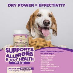 Probiotics for Dogs and Puppies